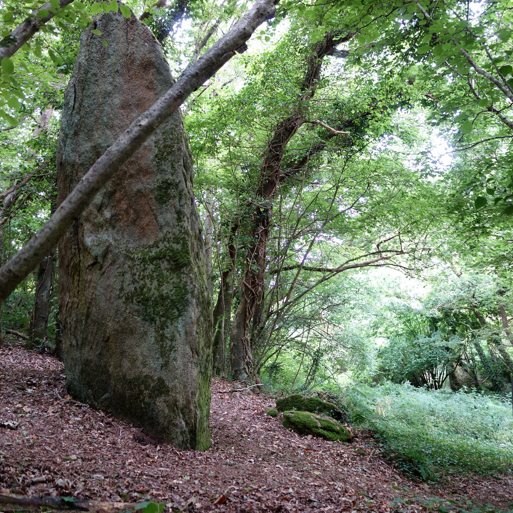 Click for the gallery page to add comments and vote (PID:154461) Menhir de Kerglogé 2