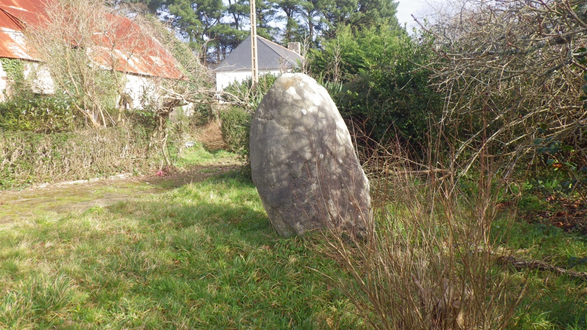 Menhirs de Maneguegan