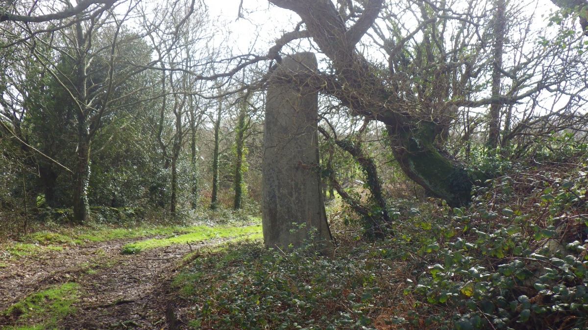 Click for the gallery page to add comments and vote (PID:276055) Menhir de Kergavan 1