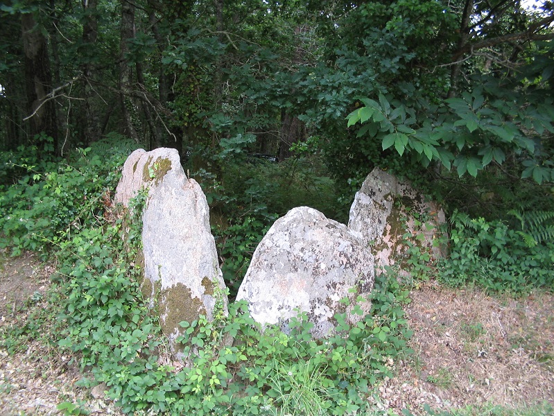 Click for the gallery page to add comments and vote (PID:194909) Allée Couverte de Lann Vraz