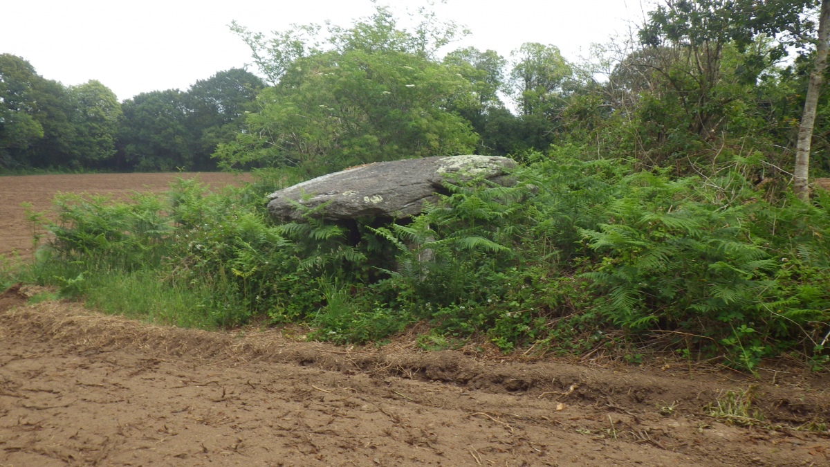 Dolmen de la Chapelle Saint-Maudé