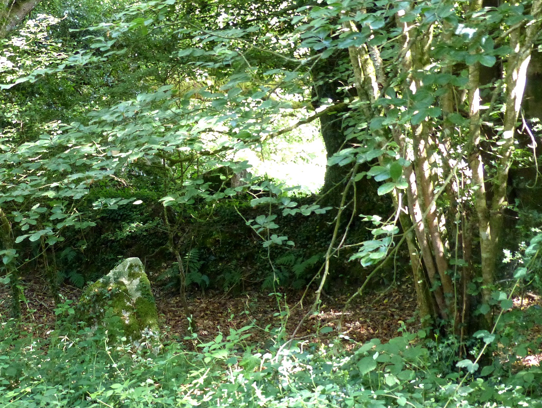 Site in Bretagne:Finistère (29) France
This mini menhir is to be found a few feet away from Kerzunis Vihan standing stone.