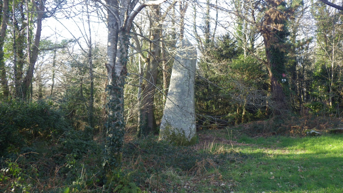 Menhir de Kerangosquer 1