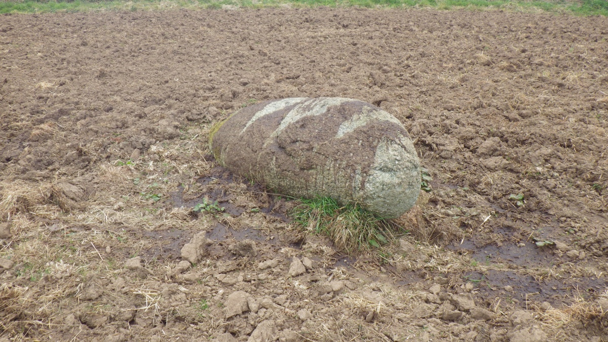Menhir de Kerveleoc