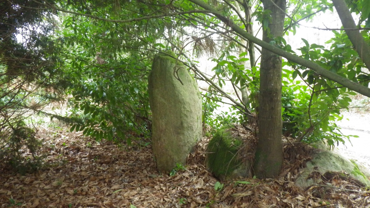 Menhirs de Kernéo