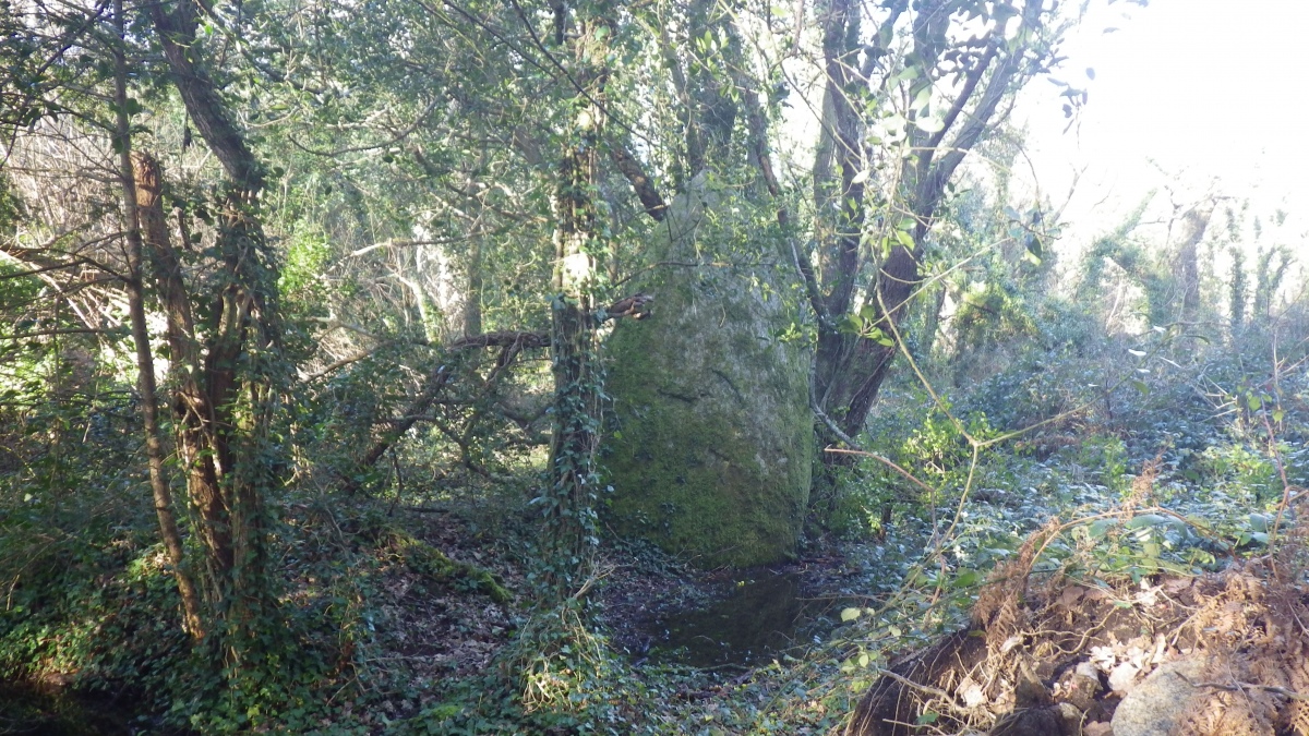 Menhir de Kerangosquer 2