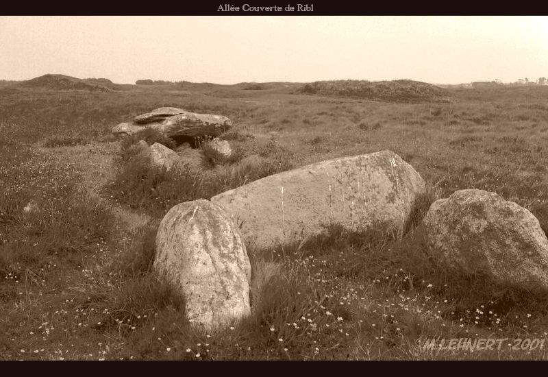 Click for the gallery page to add comments and vote (PID:45135) Allée Couverte Le Ribl