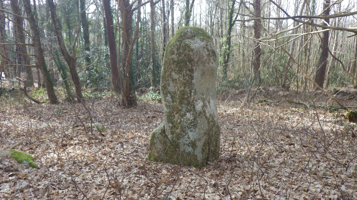 Click for the gallery page to add comments and vote (PID:279427) Menhir de Kergoulouet