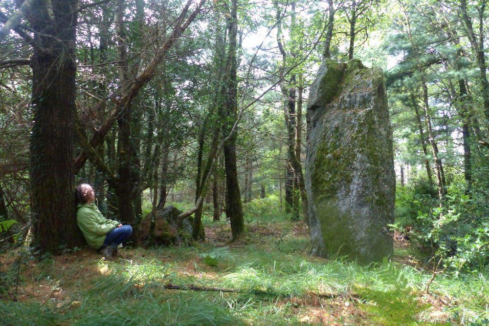 Menhir du Mendi