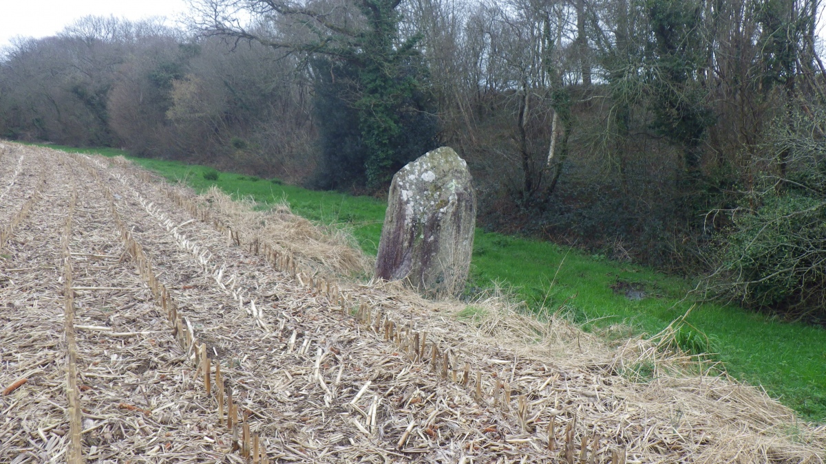 Click for the gallery page to add comments and vote (PID:280196) Menhir de Kerguelven