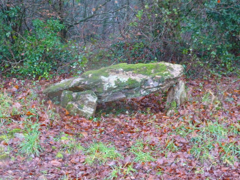 Dolmen de Sainte-Anne