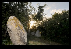 Chapelle de la Madeleine alignement