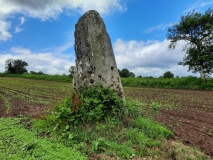 Menhir de Kervic