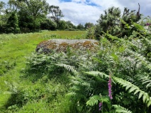 Menhir de Coat Mocun 2