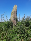 Menhir de Gwéléran