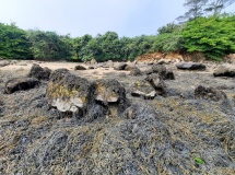 Tumulus de Poulloc