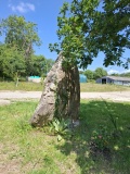 Menhir de Lamboezer