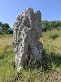 Menhir de Kerzuélet