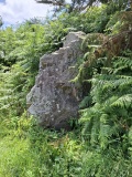 Menhir de Tromel 1
