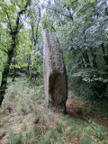 Alignement du Bois du Duc