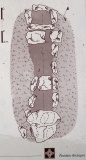 Allée Couverte Le Ribl