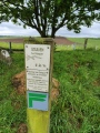 Créac'h Gallic - PID:289440