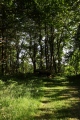 Dolmen de la Chapelle de Kerinec - PID:122054
