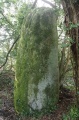 Menhir de Kerangosquer 2 - PID:145953