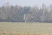 Kerbiguetlan menhir - PID:146234