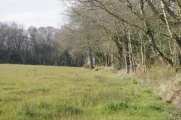 Men-Hir menhir - PID:146256