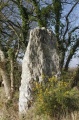 Men-Hir menhir - PID:146257