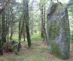 Menhir du Mendi - PID:201366