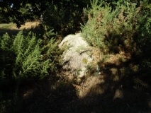 Kerfuens dolmens