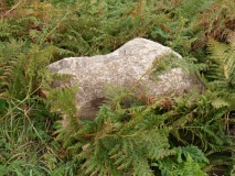 Menhir de la Pointe de Guilligui B