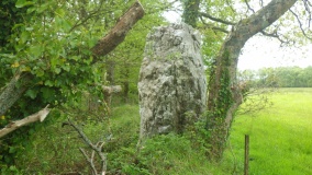 Men Berr menhir