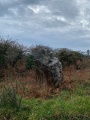 Menhir de Kerellot 1 - PID:272958