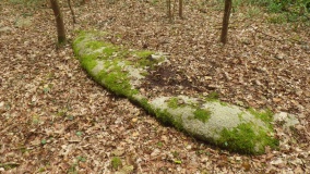 Manoir de Kerminaouët menhir