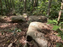 Menhir de Kergoulouët