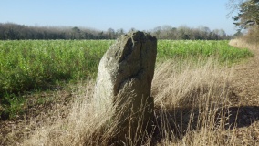 Menhir de Mescléo B