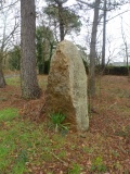 Menhir De Kerancalvez