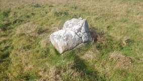 Menhirs du Moulin Sud 