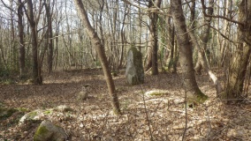 Menhir de Kergoulouet