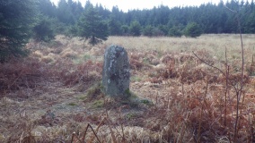 Menhir de Roch Conan