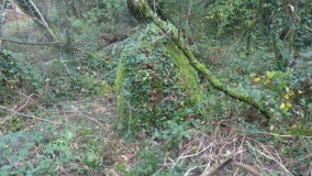 Menhir de Prat Min Hir