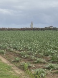 Menhir de Kergoarat