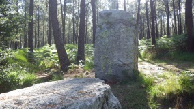 Goarem an Abat Menhir