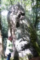 Menhir du Mendi - PID:201283