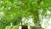 Ty ar Boudiquet dolmen - PID:80759