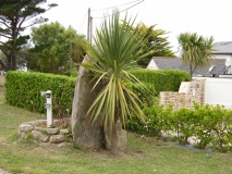Menhir de Penn ar Strejou