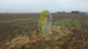 Menhir de Kervinou (Plozévet)